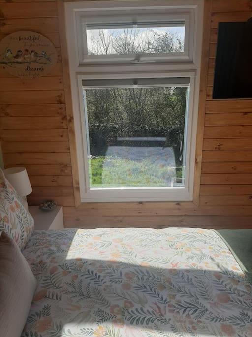 Anglesey New Modern Shepherds Hut With Spa Hot Tub Gwalchmai Екстер'єр фото
